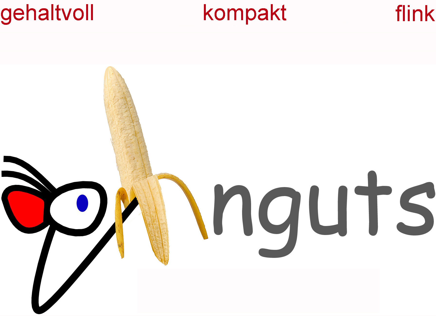 aphnguts-Logo